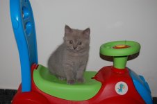 DSC_6827 — копия.JPG