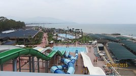 IMG_5515.jpg