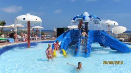 IMG_5562.jpg