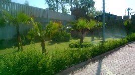 WP_20150523_009.jpg