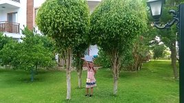 WP_20150526_088.jpg