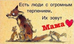 11391476_902782803114810_7279022596102752842_n.jpg