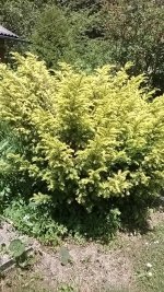 WP_20150617_13_28_54_Smart (540 x 960).jpg