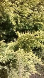 WP_20150617_13_29_07_Smart (540 x 960).jpg