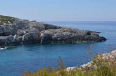 DSC_0207.jpg