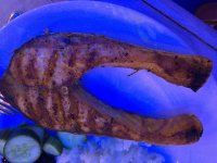 IMG_2655.JPG