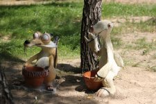 IMG_4133_новый размер.JPG