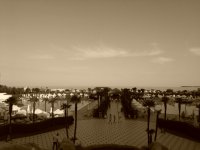 IMG_20150701_191540.jpg