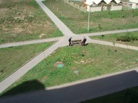 img0004.jpeg