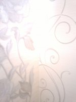 2015-06-28-1722.jpg