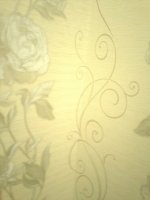 2015-06-28-1724.jpg