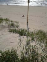 20150625_171853.jpg