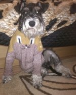 CYMERA_20150927_210103.jpg