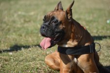 DSC_2478[1].JPG