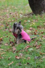 IMG_0574.JPG