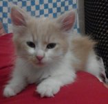 20151022222548+++.jpg