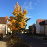 File 26-10-2015 19 40 38.jpeg