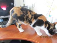 IMG_2283.JPG