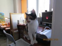 IMG_2284.JPG