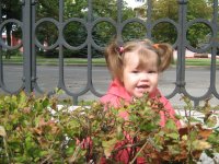 IMG_0012.jpg