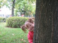 IMG_0020.jpg