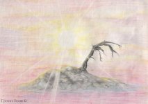 dead_sunrise.jpg