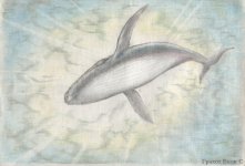 Sea1.jpg