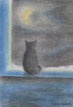 winter_night.jpg