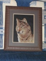IMG_1731.jpg
