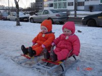 санки.jpg