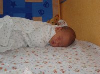 DSC00703.jpg
