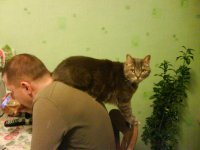 DSC00158.JPG
