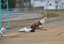 DSC_2261.JPG