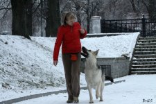 Светлана и Лавбрил Ельдар (10 мес.). Дрессировка..jpg