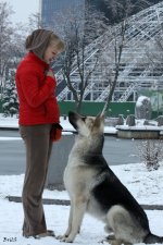 Светлана и Лавбрил Ельдар. 29.11.15..jpg