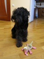 IMG_6345 - копия.JPG