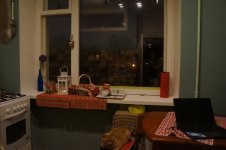 DSC09556.jpg