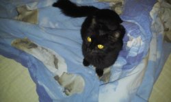 20151220_104043.jpg