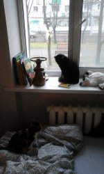 20151220_104517.jpg