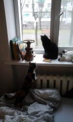 20151220_104509.jpg