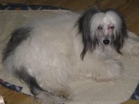 IMG_2614.JPG