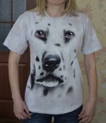 _DSC0270_1.JPG _DSC0270_1.JPG