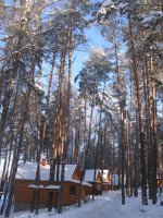 IMG_1713-.jpg