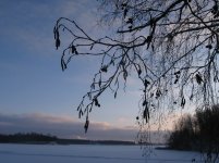 IMG_1440-.jpg