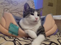 2016-04-22 20.13.59.jpg