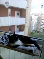 теплое местечко.jpg