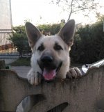 IMAG0842.jpg