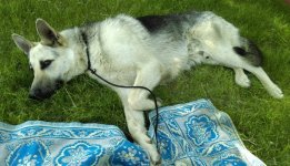 IMAG0893.jpg