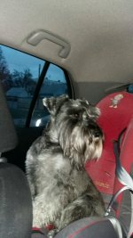 20160410_200657_resized-600x1067.jpg