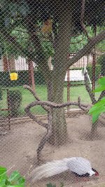 20160628_152936111.jpg